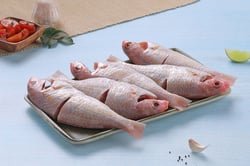 Pink Perch / Kilimeen / Sankara Meen / Thread Finned Bream /