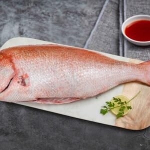 Red Snapper / Chempalli / Rane (Large) - Whole cleaned