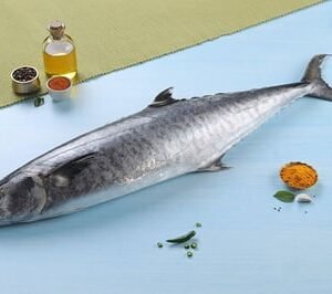 Seer Fish / King Fish / Surmai / Neymeen / Vanjaram / ಅಂಜಲ್ (5kg+)