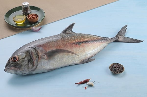 Trevally / Vatta/ Shitap / Parai (Large)