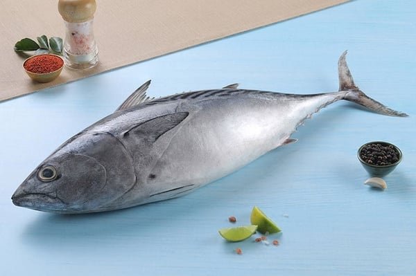 Tuna / Choora / Choorai  (500g)